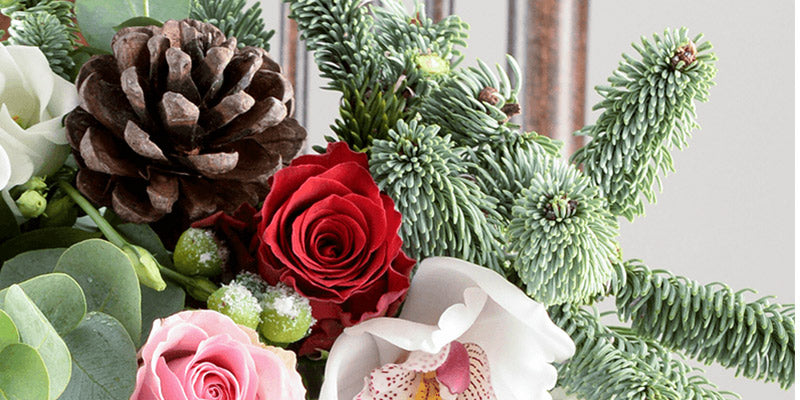 Enhance your holiday celebrations with our exquisite Christmas flowers at Rams Florist. Our expert florists craft beautiful arrangements that capture the festive spirit, featuring traditional blooms such as poinsettias.