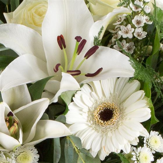 Experience the best of floral artistry with our Florist Choice Flowers at Rams Florist. Allow our expert florists to create a unique and stunning arrangement using the freshest seasonal blooms and greenery. By selecting the finest flowers available, 