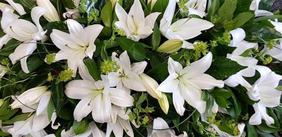 Oriental Lily Casket Spray