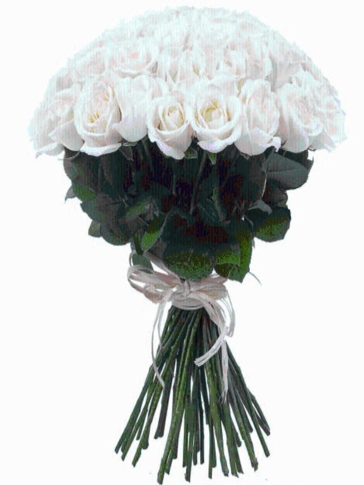 LUXURY WHITE ROSES BOUQUET