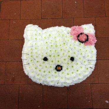 Hello Kitty - Rams florists