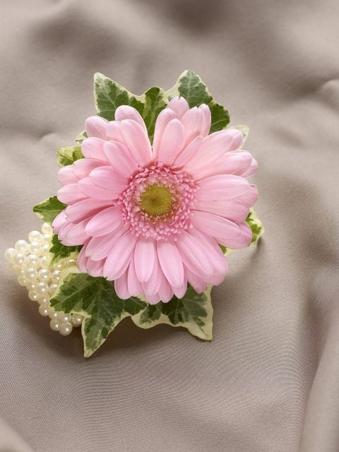 Pale Pink Germini Wrist Corsage