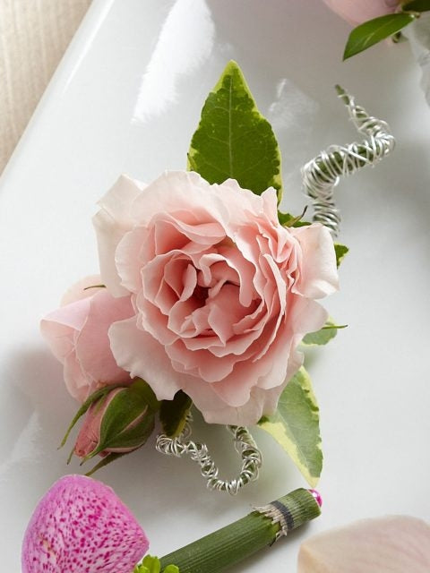 Pink Spray Rose Boutonniere