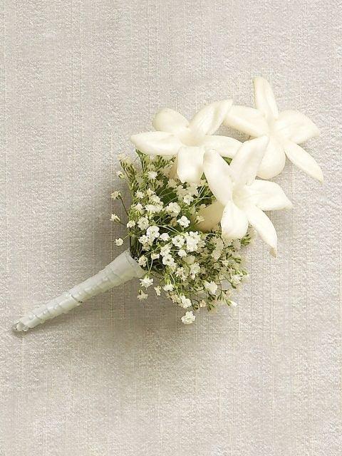 Snow White Stephanotis Buttonhole - Rams florists