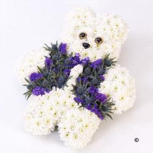 TEDDY BEAR TRIBUTE - Rams florists