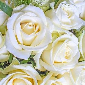 Avalanche White Rose Hand tied Bouquet - Rams florists