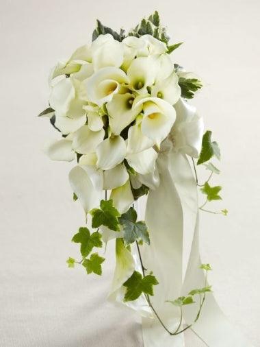 White Calla Lily Cascade Bouquet - Rams florists