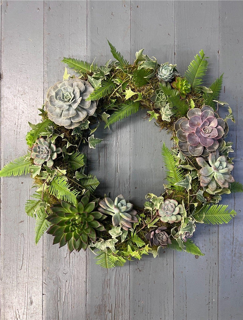 Succulent Wreath - Rams florists