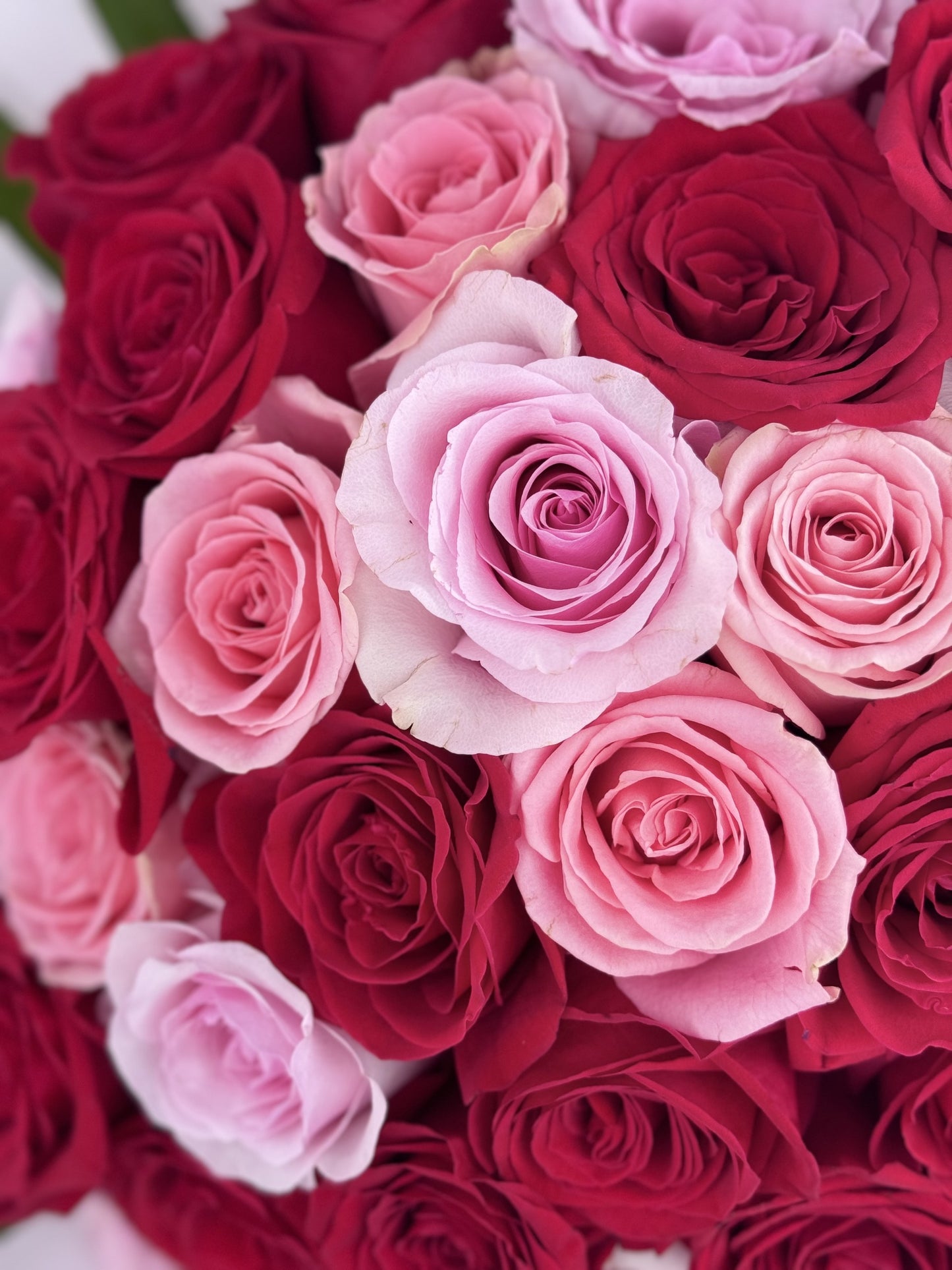 Mix Red & Pink Roses Bouquet